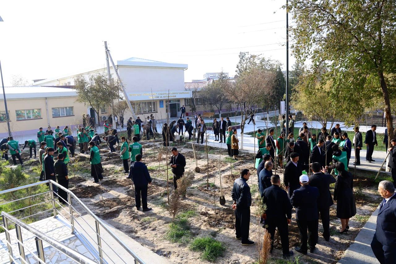 ЗЕЛЕНОЕ ПРОСТРАНСТВО